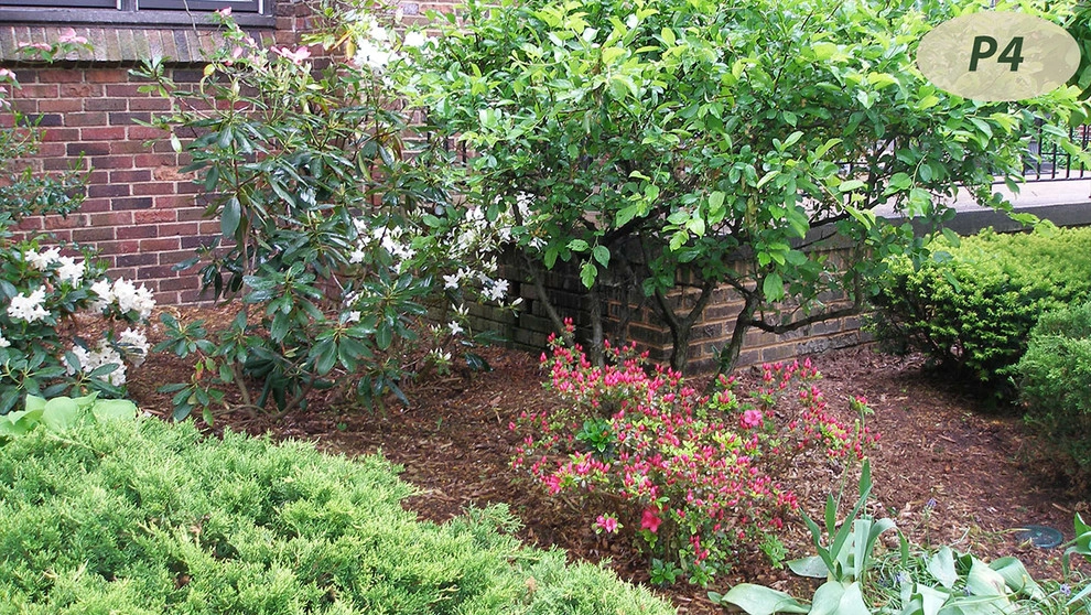 Plantings by Teddy's Lawn & Landscape - Photo 11