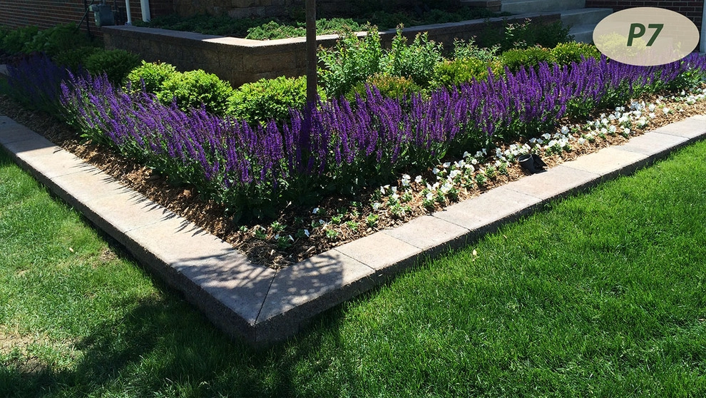Plantings by Teddy's Lawn & Landscape - Photo 18