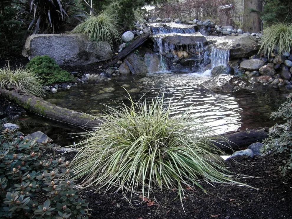 Aquatic Elements by Universal Landscape Corp - Photo 5