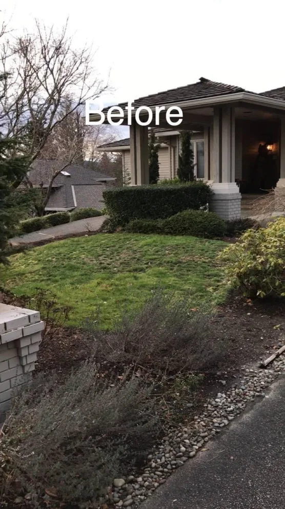 Entryway Transformation: Outdoor Experience Before and After by Universal Landscape Corp - Photo 2