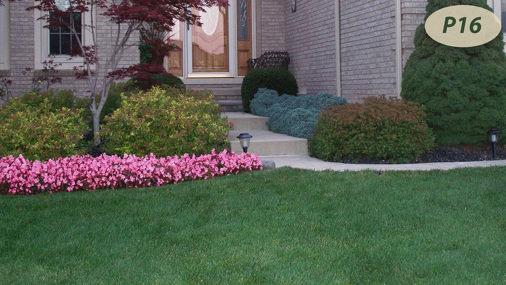 Plantings by Teddy's Lawn & Landscape - Photo 16
