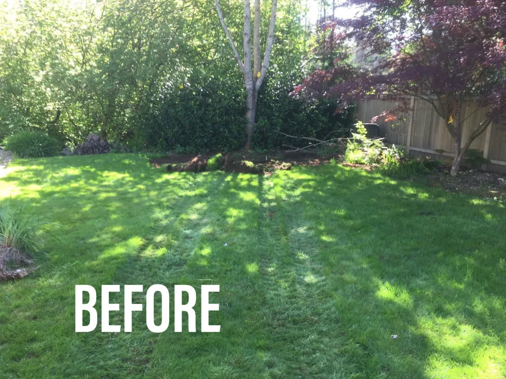Yard Transformation: Then and Now by Universal Landscape Corp - Photo 4