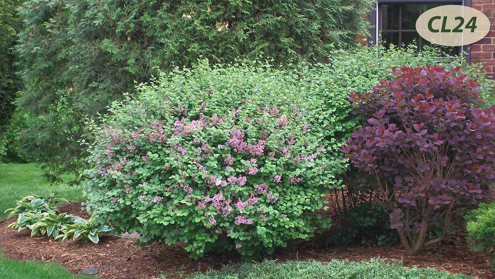 Complete Landscaping by Teddy's Lawn & Landscape - Photo 12