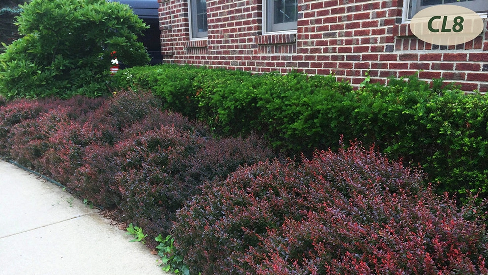 Complete Landscaping by Teddy's Lawn & Landscape - Photo 32
