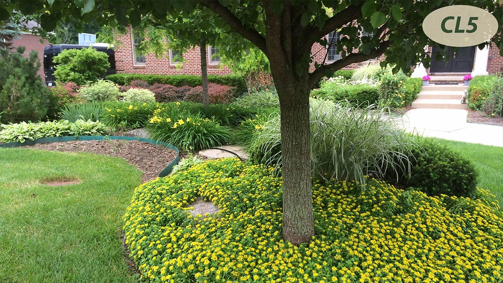 Complete Landscaping by Teddy's Lawn & Landscape - Photo 19
