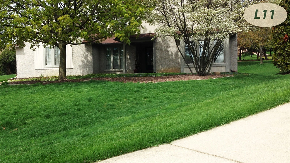 Lawn Care by Teddy's Lawn & Landscape - Photo 5