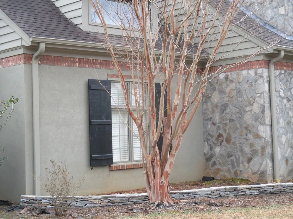 S F Flynn Masonry - Photo 3