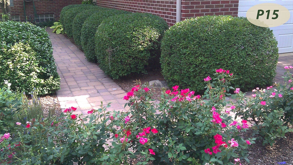 Plantings by Teddy's Lawn & Landscape - Photo 2