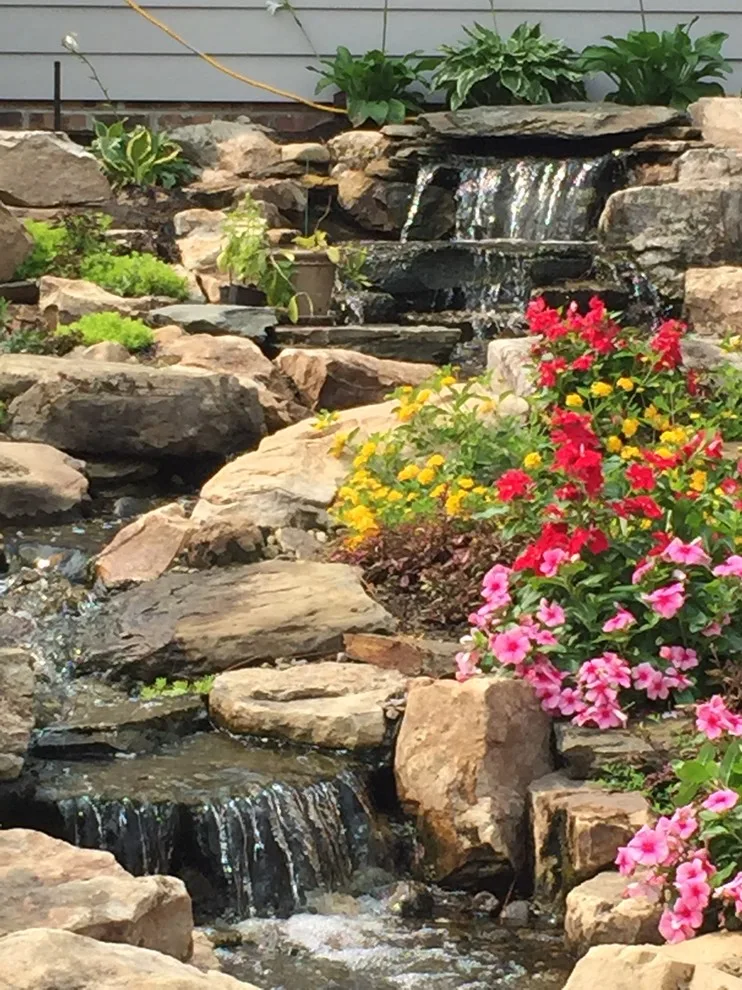 Tranquil Escapes LLC - Photo 7