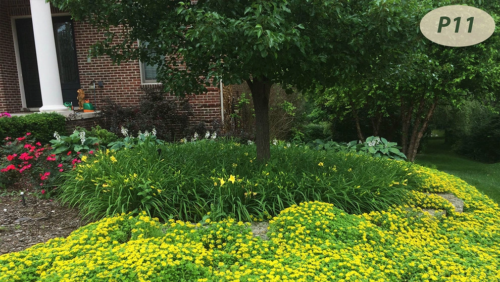 Plantings by Teddy's Lawn & Landscape - Photo 7