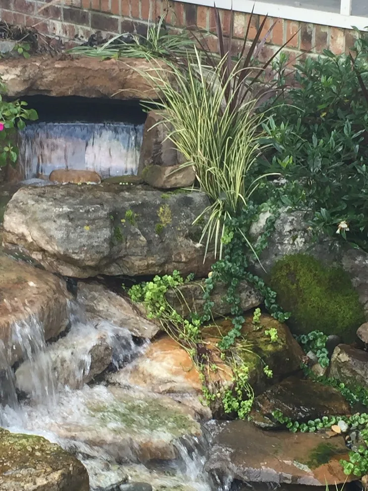 Waterfalls Without Ponds by Tranquil Escapes LLC - Photo 3
