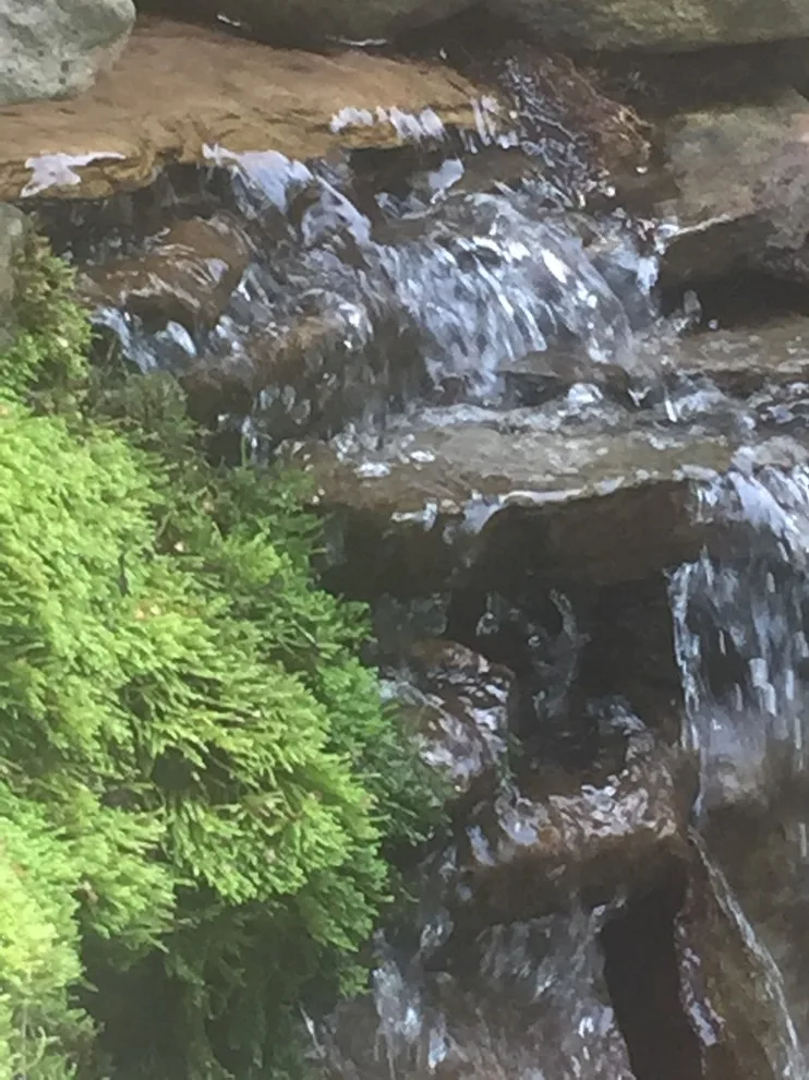 Waterfalls Without Ponds by Tranquil Escapes LLC - Photo 7
