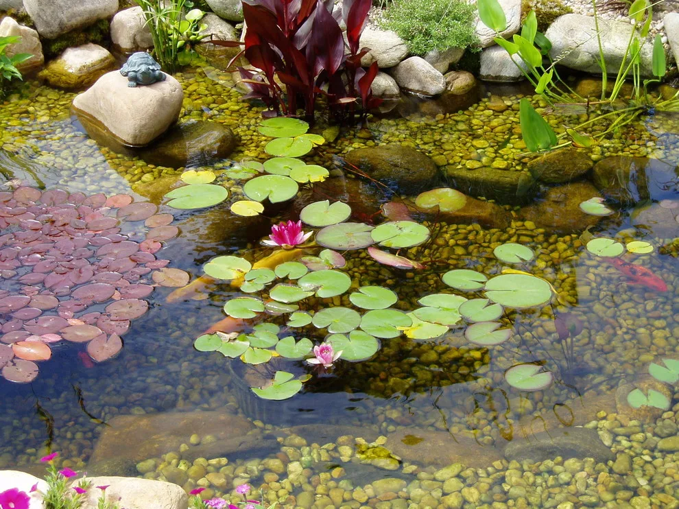 Koi Water Gardens by Tranquil Escapes LLC - Photo 6