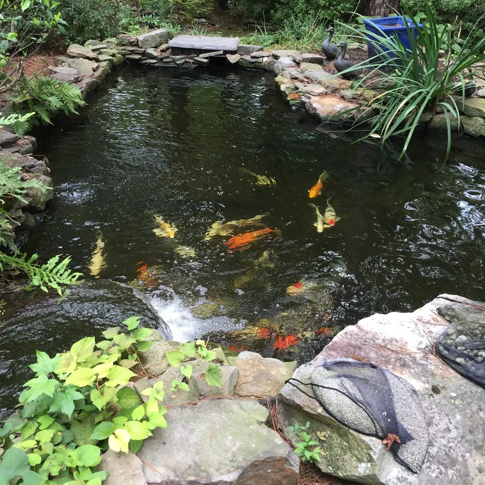 Koi Water Gardens by Tranquil Escapes LLC - Photo 11