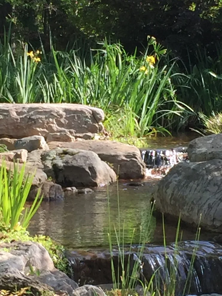 Koi Water Gardens by Tranquil Escapes LLC - Photo 14