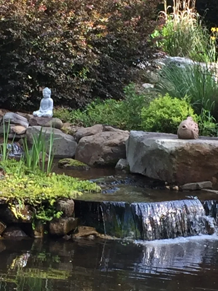 Koi Water Gardens by Tranquil Escapes LLC - Photo 16