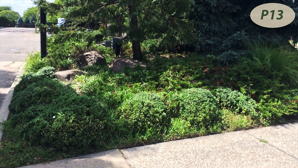 Plantings by Teddy's Lawn & Landscape - Photo 3