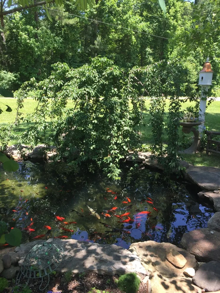 Koi Water Gardens by Tranquil Escapes LLC - Photo 12