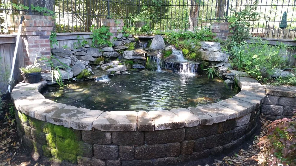 Koi Water Gardens by Tranquil Escapes LLC - Photo 5