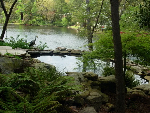 Koi Water Gardens by Tranquil Escapes LLC - Photo 10