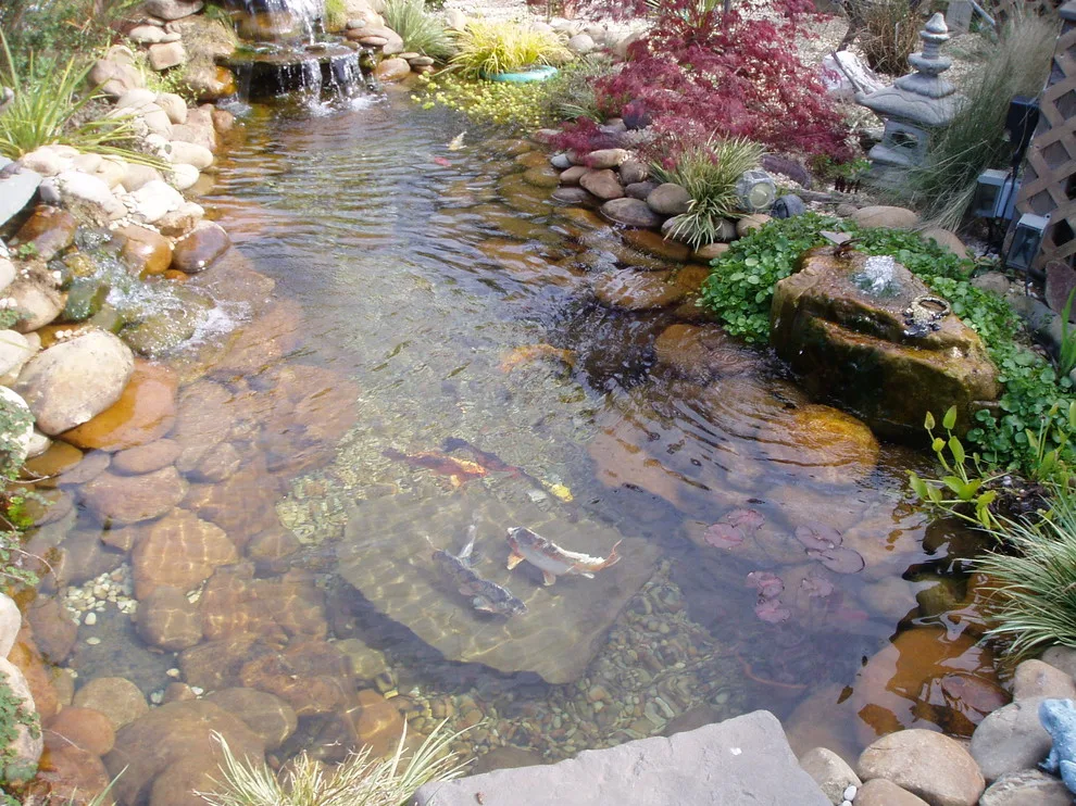 Koi Water Gardens by Tranquil Escapes LLC - Photo 9