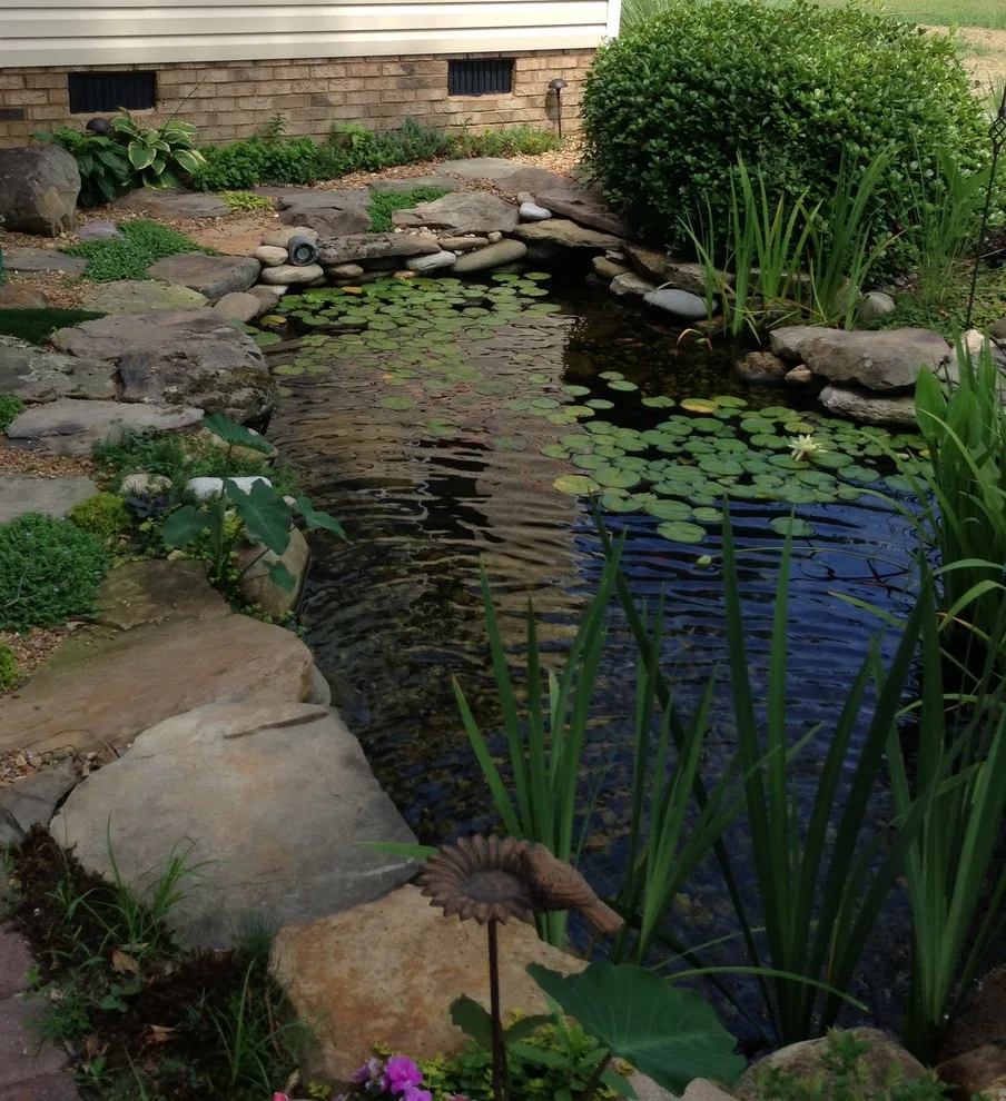 Outdoor Entertainment Space | Camden, SC by Tranquil Escapes LLC - Photo 2