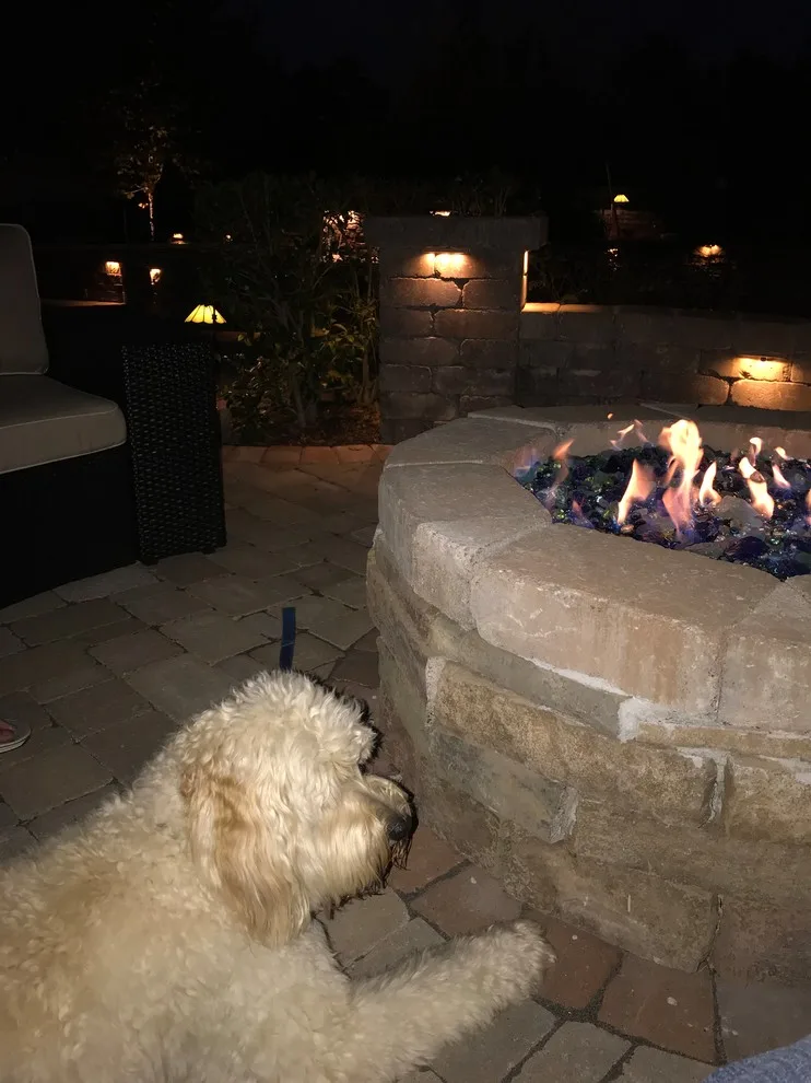 Alfresco Entertainment Space by Tranquil Escapes LLC - Photo 4