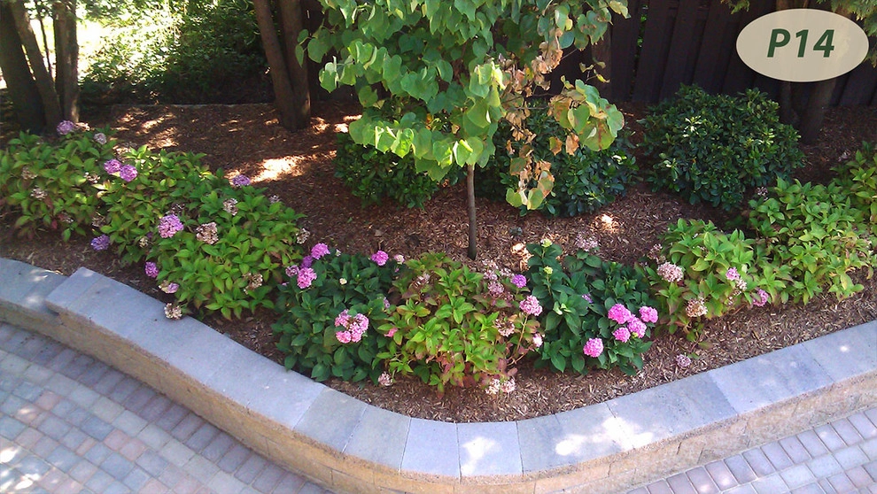 Plantings by Teddy's Lawn & Landscape - Photo 4