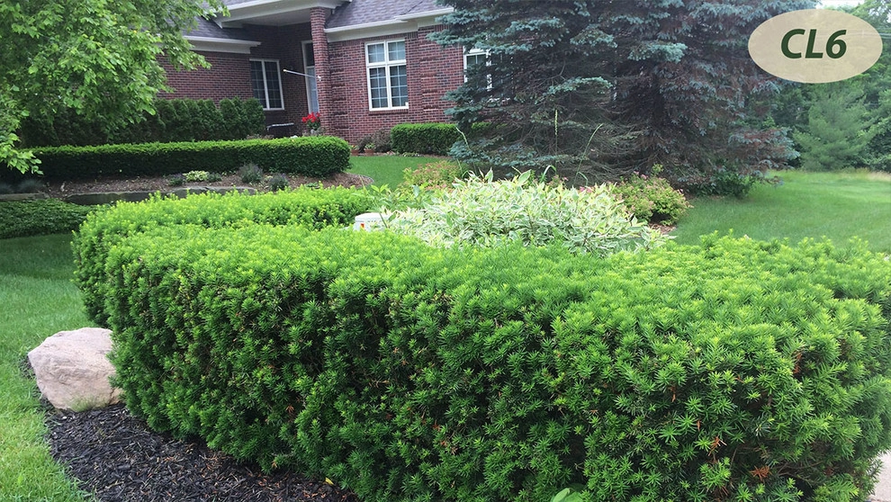 Complete Landscaping by Teddy's Lawn & Landscape - Photo 13