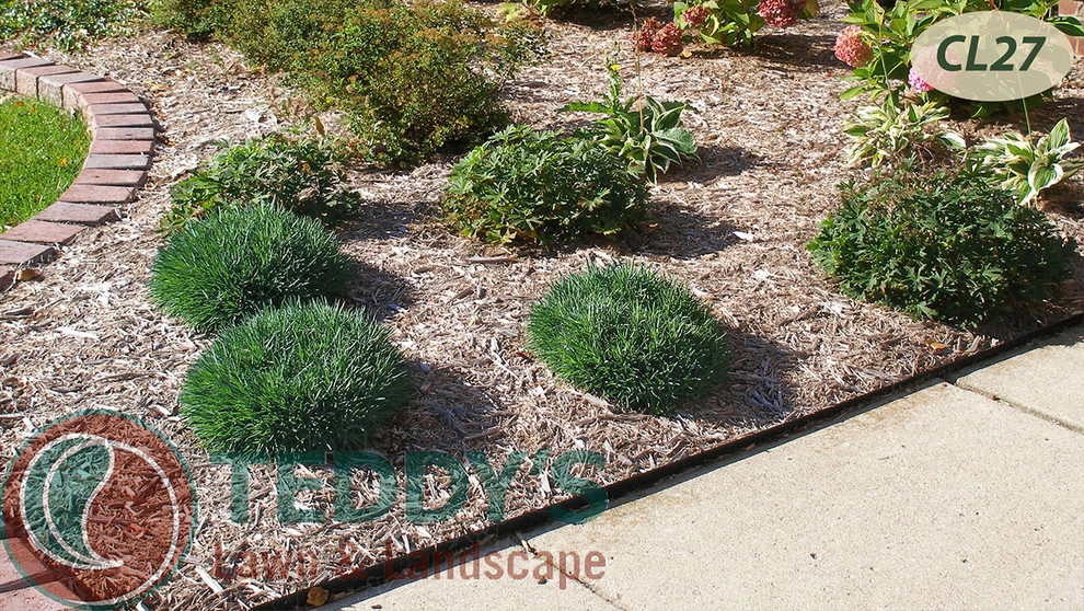 Complete Landscaping by Teddy's Lawn & Landscape - Photo 6