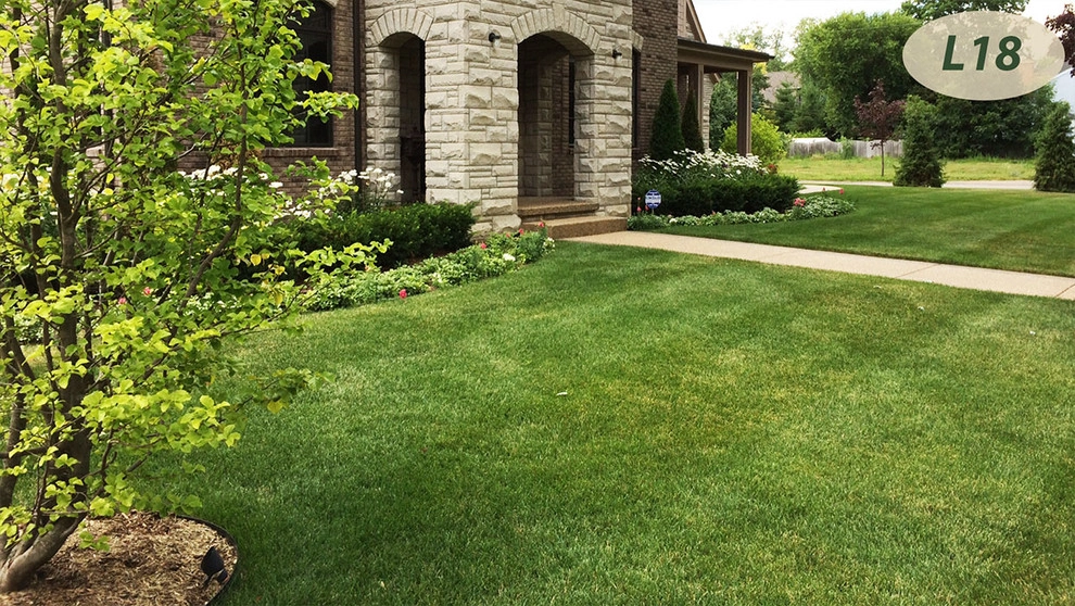 Lawn Care by Teddy's Lawn & Landscape - Photo 15
