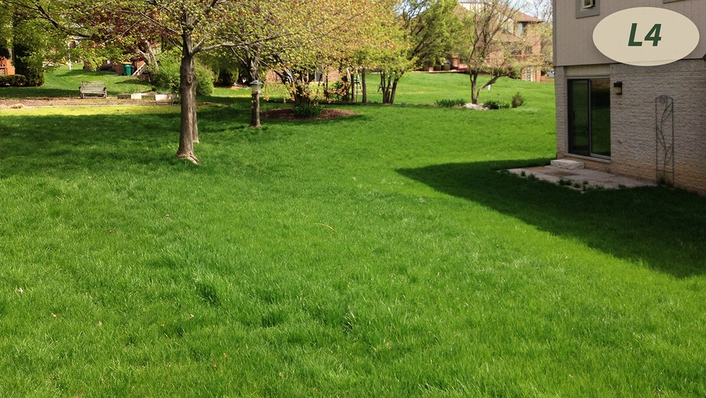 Lawn Care by Teddy's Lawn & Landscape - Photo 9