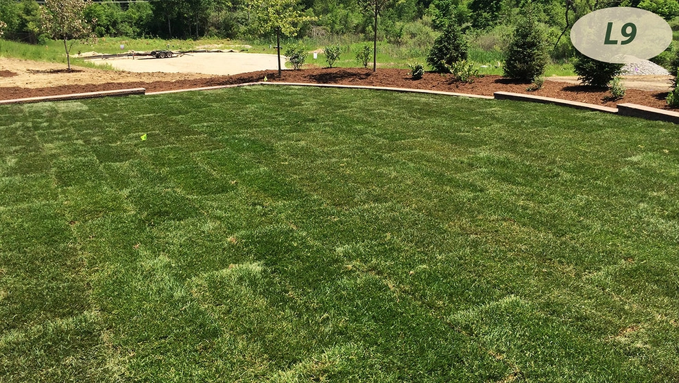 Lawn Care by Teddy's Lawn & Landscape - Photo 7