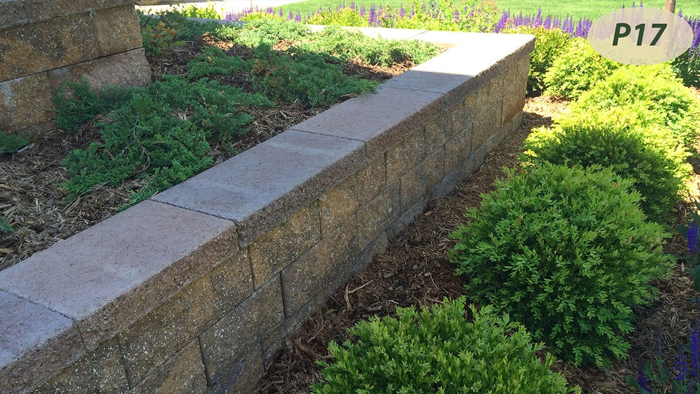 Plantings by Teddy's Lawn & Landscape - Photo 14