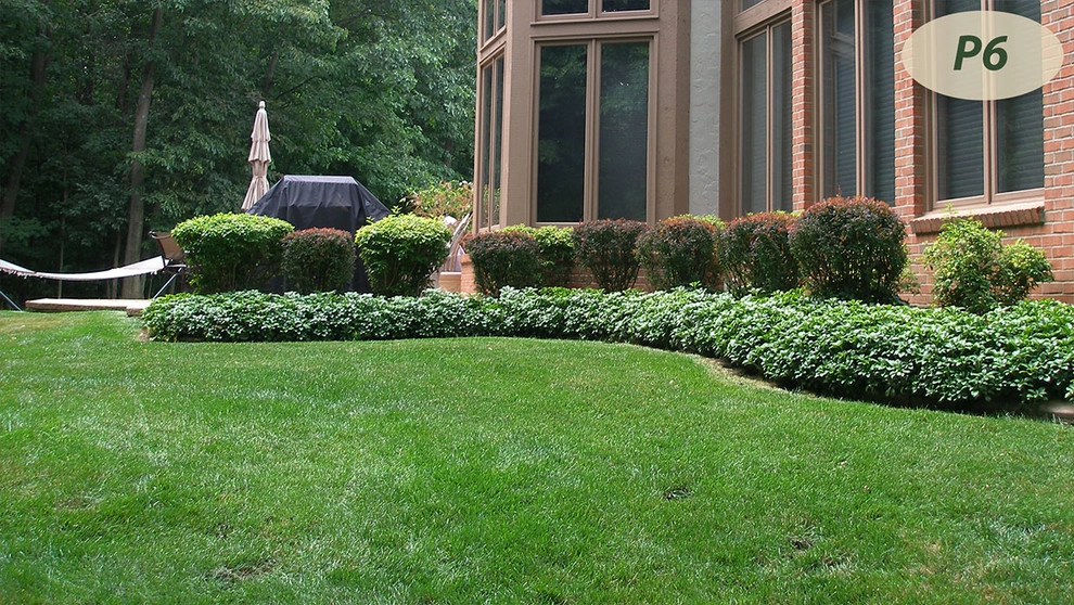 Plantings by Teddy's Lawn & Landscape - Photo 15