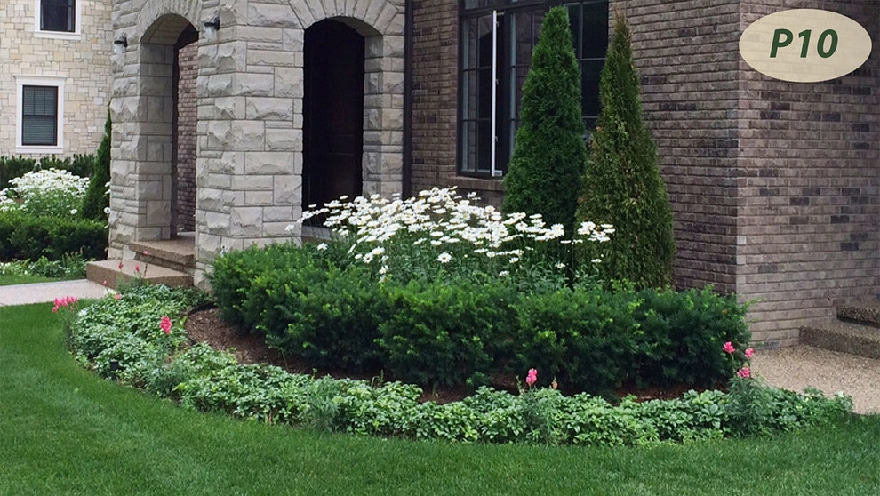 Plantings by Teddy's Lawn & Landscape - Photo 17