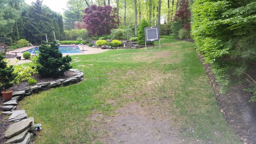 Synthetic Grass by Legacy Brick & Stone - Photo 7