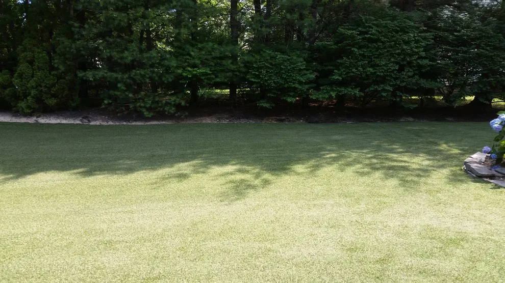 Synthetic Grass by Legacy Brick & Stone - Photo 14