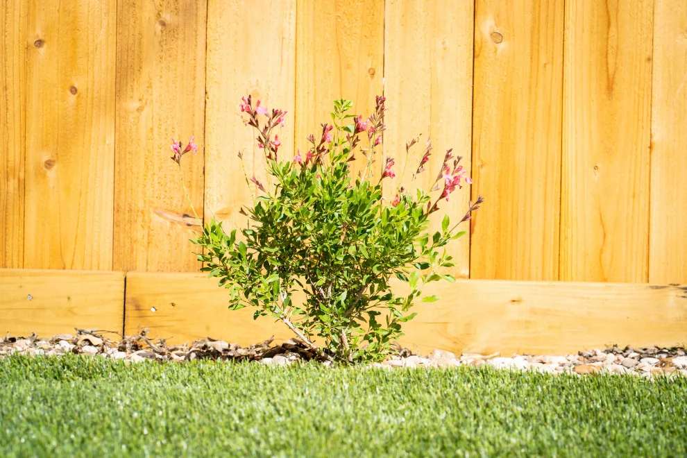 Synthetic Grass Setup by BioScapes LLC - Photo 4