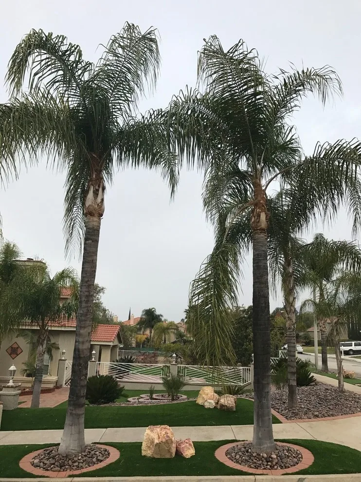 Synthetic Grass by Integrated Paver Systems - Photo 5