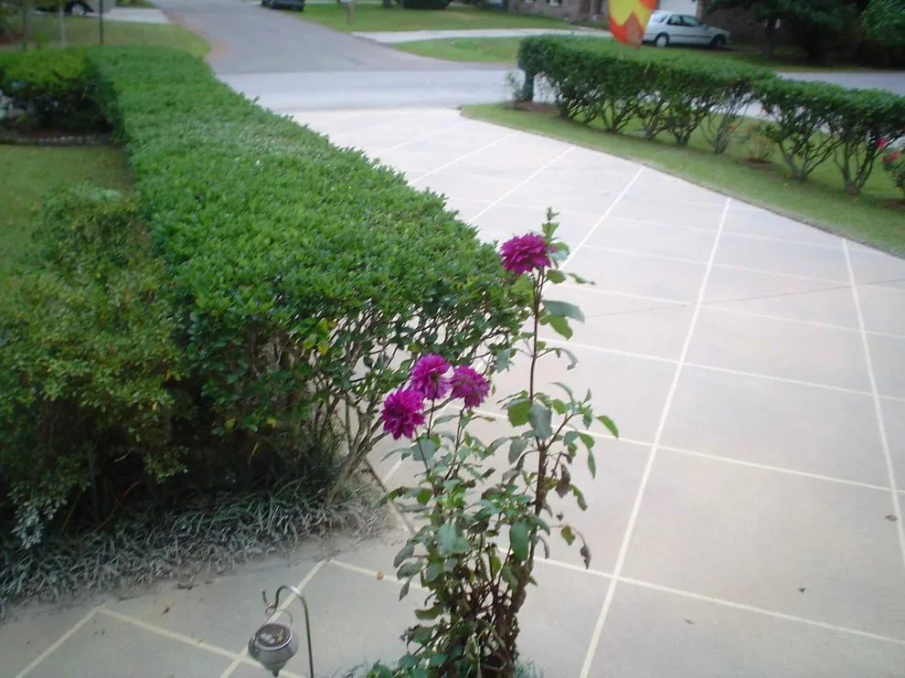 Residential Concrete Outdoor Renovations by Charleston Concrete Design LLC - Photo 7