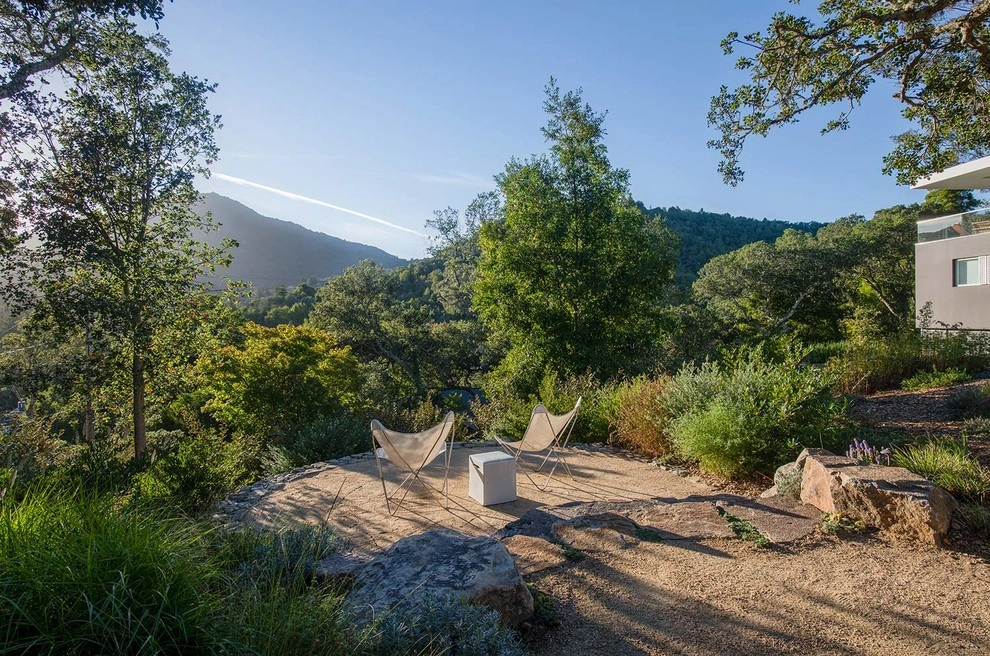Marin Hilltop by Terra Ferma Landscapes - Photo 6
