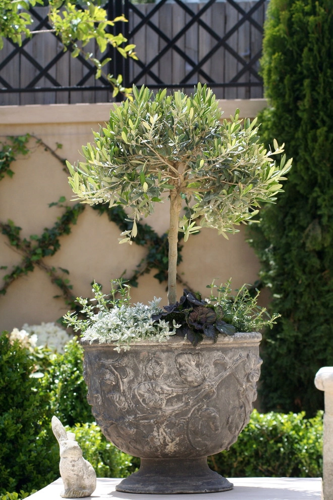 Russian Hill Terrace by Terra Ferma Landscapes - Photo 3