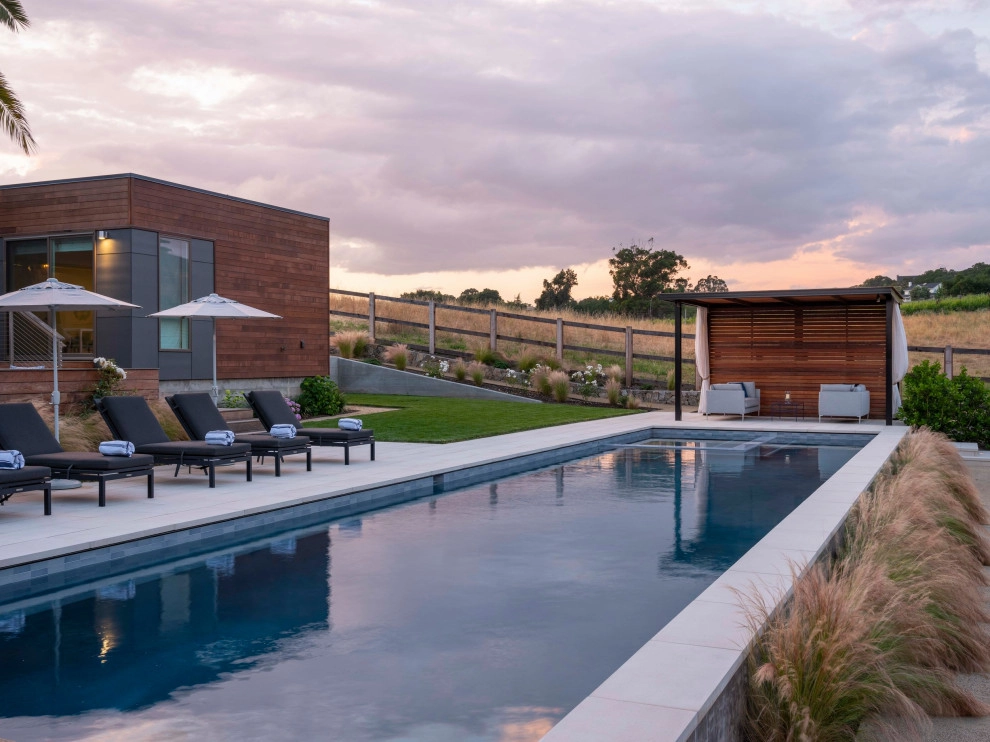 NAPA DREAM by Terra Ferma Landscapes - Photo 3