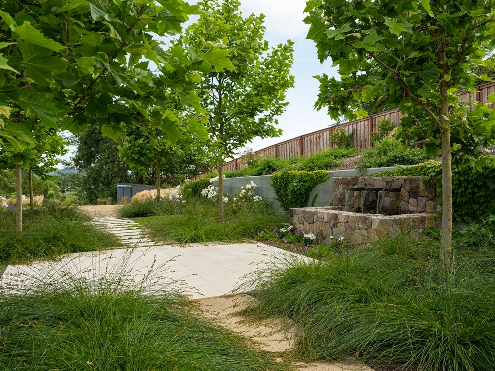 NAPA DREAM by Terra Ferma Landscapes - Photo 8