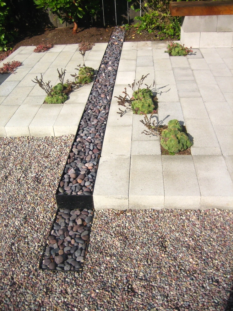 San Francisco Screen House by Terra Ferma Landscapes - Photo 4