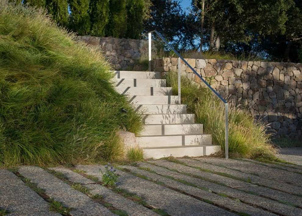 Marin Hilltop by Terra Ferma Landscapes - Photo 2