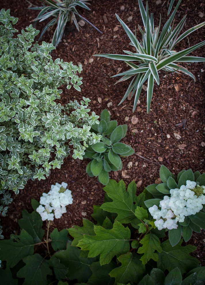 Mediterranean Estate by Terra Ferma Landscapes - Photo 5