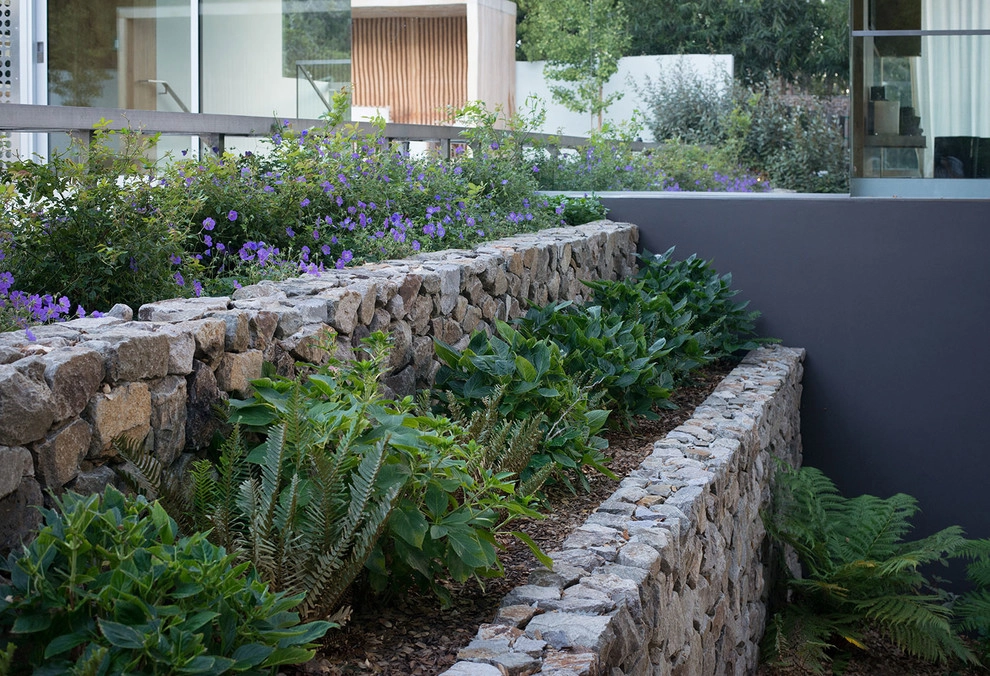 Marin Hilltop by Terra Ferma Landscapes - Photo 5