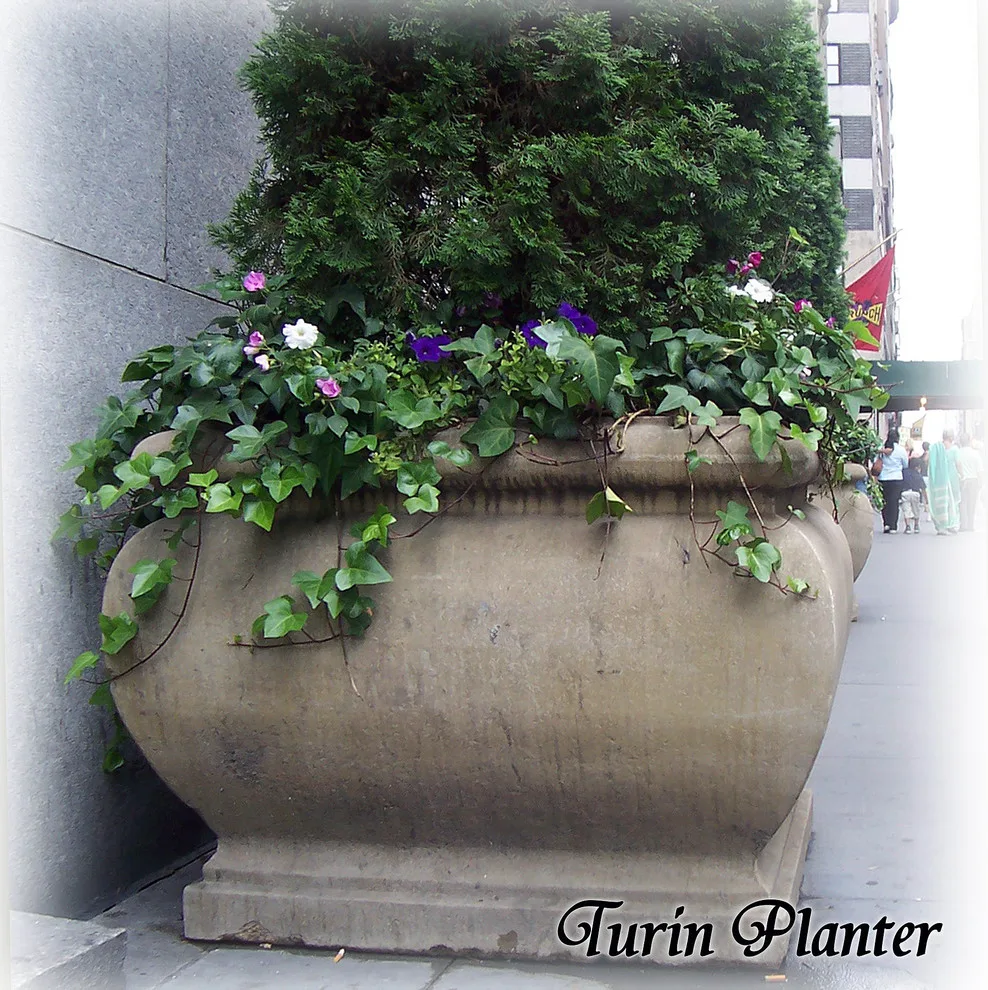 Nature Adventures by Renaissance Cast Stone - Photo 13